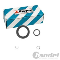 Payen Dichtungssatz KurbelgehÄUse Passend FüR Dacia Logan Sandero Nissan