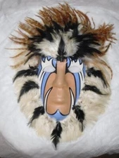 Shaman's Native American Medicine Mask  By R. W. Adamson  the COMFORTER