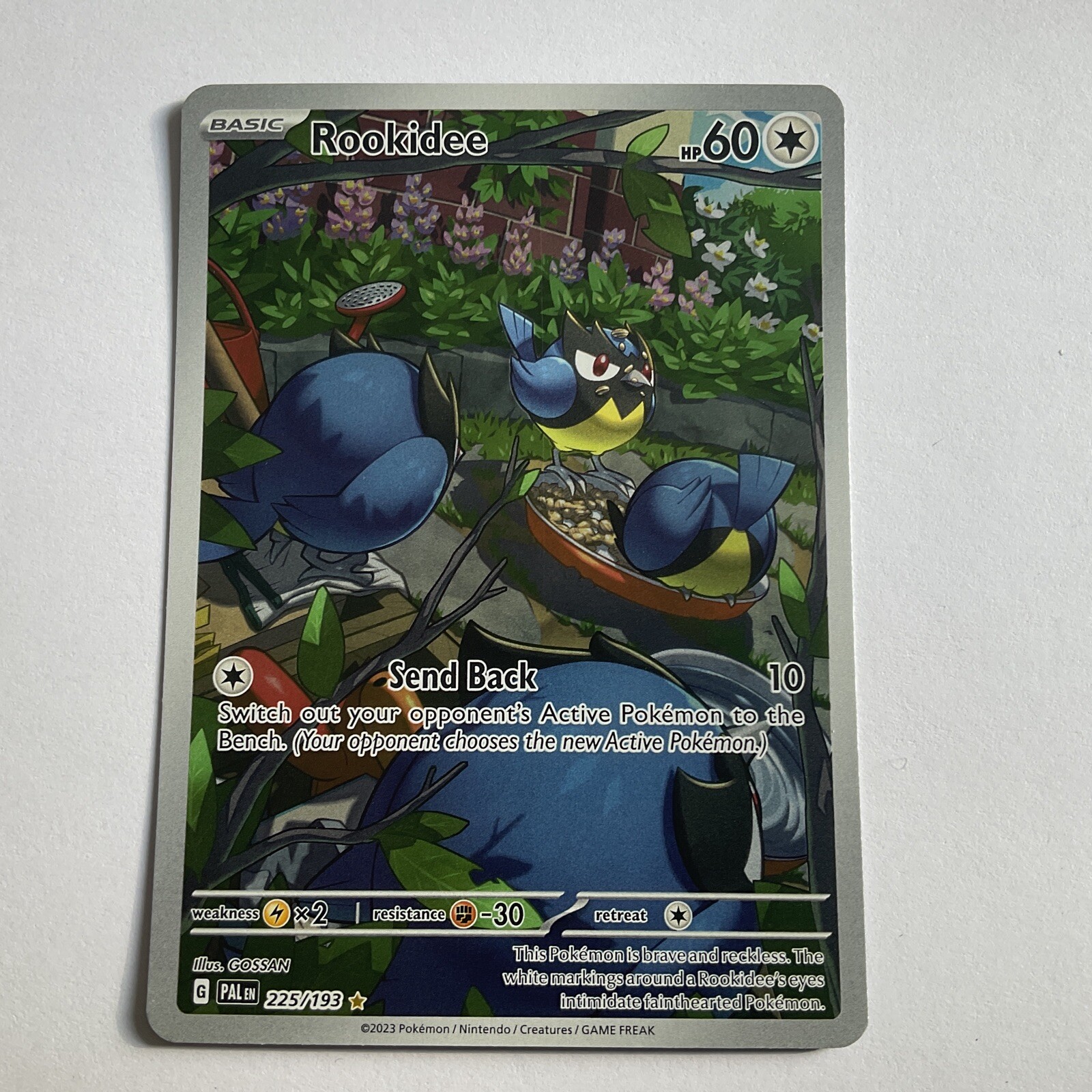 Rookidee 225/193 Paldea Evolved Holo Illustration Rare Pokemon TCG NM Pack Fresh