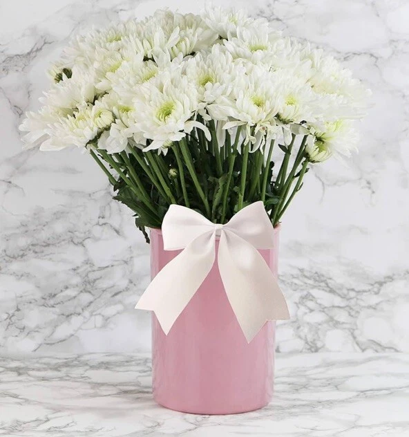 Jarrón Reston Lloyd Seafoam verde soporte utensilios tarro plástico seguro para alimentos sin BPA Foto 4 de 4