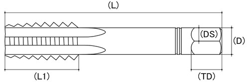 Pack of 1 Hand Tap M6 Metric Coarse HSS Intermediate Straight Flute Alpha - Picture 5 of 5