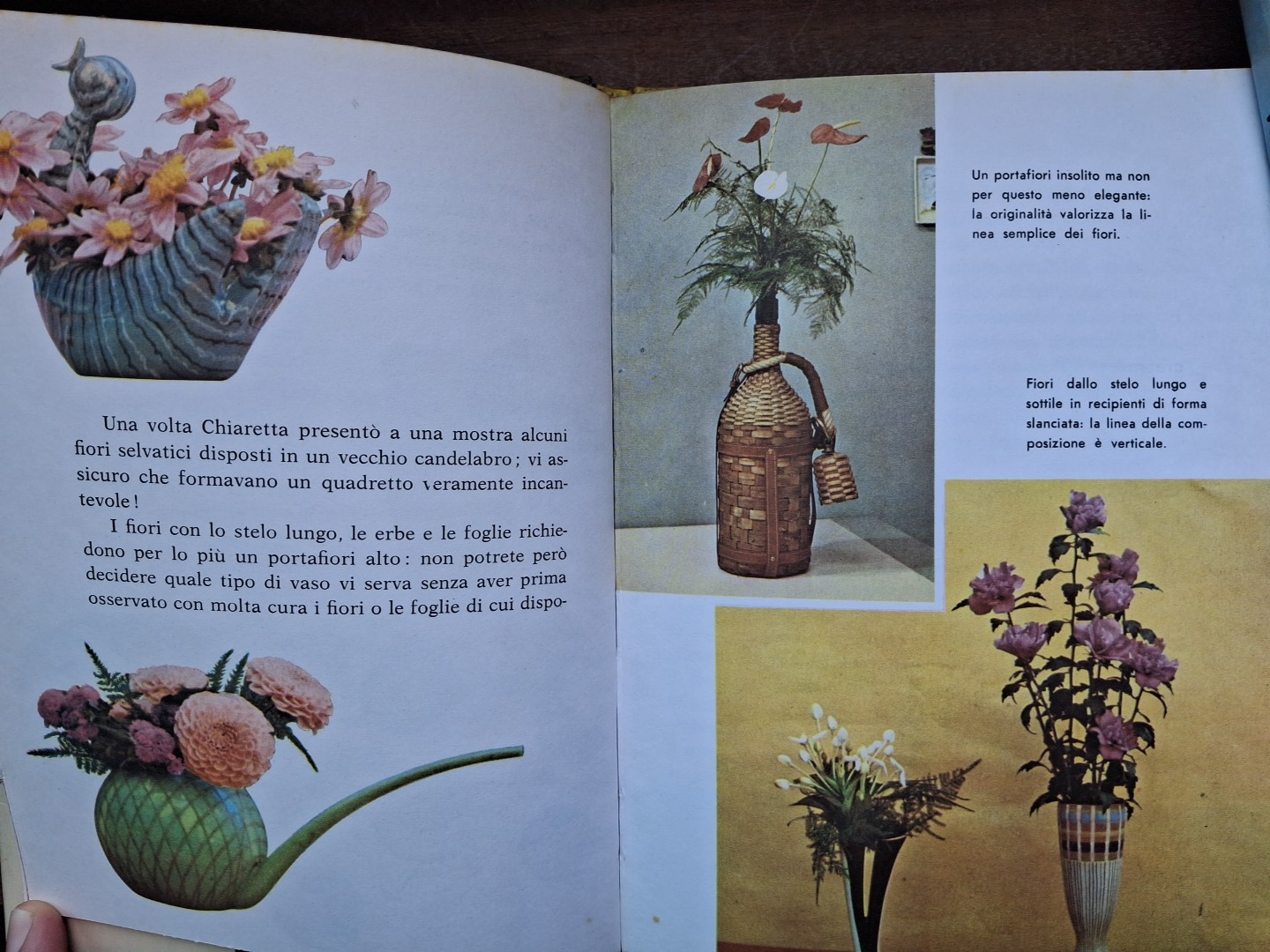Foto 14 di 14