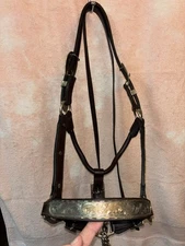 SILVER SHOW HALTER with GOLD INLAY in excellent condition