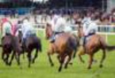 The Profesional Horse Winning System ( Package of 3 systems)�