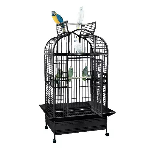 King's Cages SLT 3628 Large Parrot Cage 36x28x69 Bird Toy