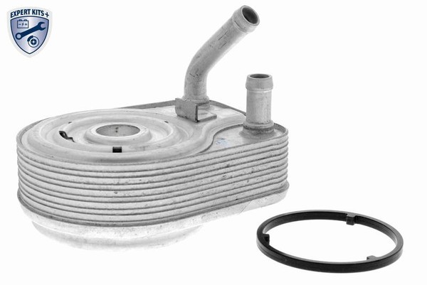 Ackoja A52-60-0008 ÖLküHler, MotoröL FüR Hyundai KIA-image