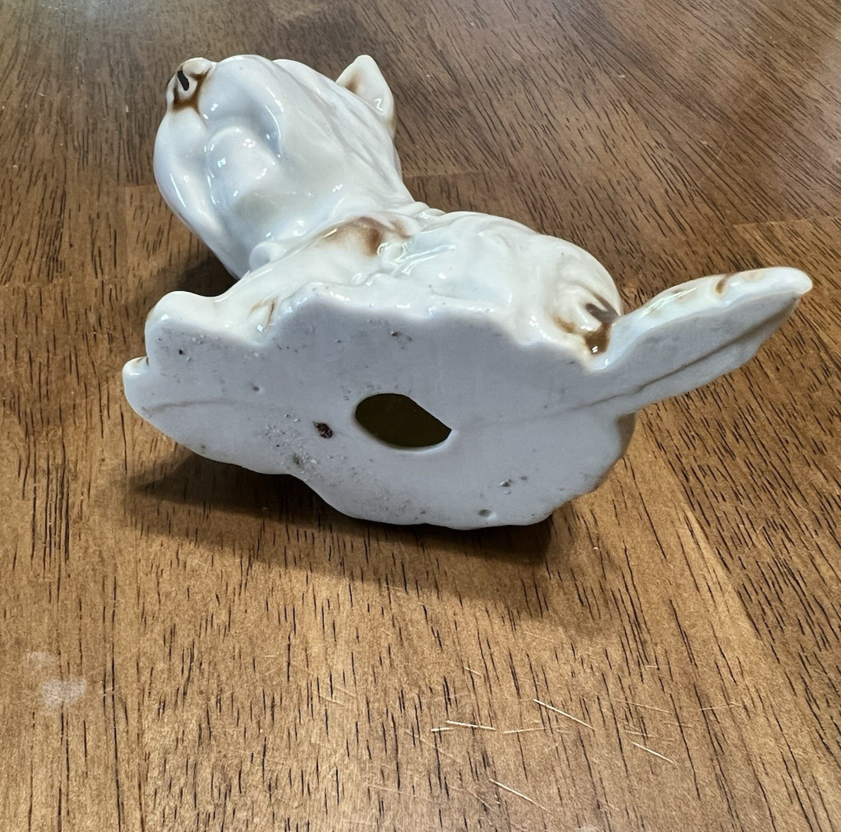 Picture 5 of 8