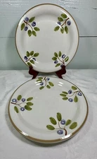 H.E.B. Grocery Stoneware Blue Bonnet Dinner Plates Set Of Two 10.5”
