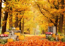 10x8ft Autumn Forest Trees Fall Harvest Pumpkin Photo Background Vinyl Backdrop