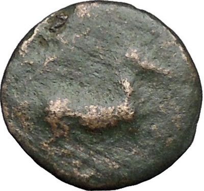 Maroneia in Thrace 400BC Original Ancient Greek Coin Horse Vine Grapes  i48968