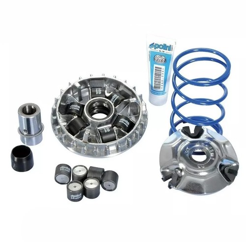 Kit Variateur Polini Pour