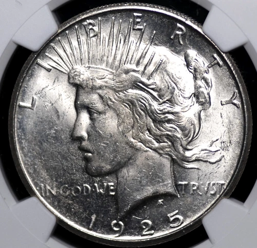 1925 S PEACE DOLLAR NGC MS 61 NICE FROSTY WHITE LUSTER AND A DECENT STRIKE, NOT