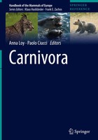 Anna Loy (U. A.) | Carnivora | Buch | Englisch (2025) | Xvii | Springer