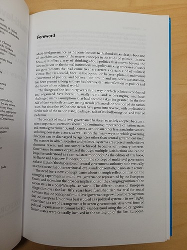 Multi-level Governance Edited By Ian Bache And Matthew Flinders HC VG+ - Picture 4 of 11
