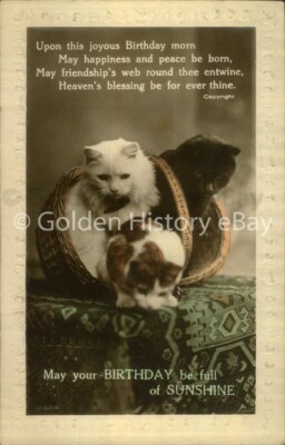 VINTAGE MÖGE IHR GEBURTSTAG VOLLER SONNENSCHEIN SEIN KATZEN KÄTZCHEN POSTKARTE VERSCHICKT