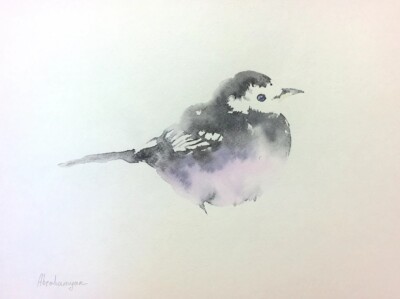 Wagtail, Birds, Watercolor artwork, Handmade, Original painting on paper
