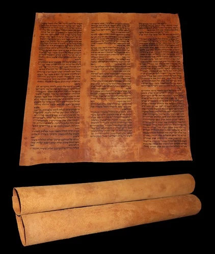 Antique Torah Scroll Fragment Reddish Deer Parchment Israel ~100 YRS OLD