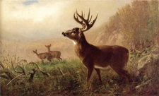 Oil painting Arthur-Fitzwilliam-Tait-A-Tempting-Shot wild animal deer landscape