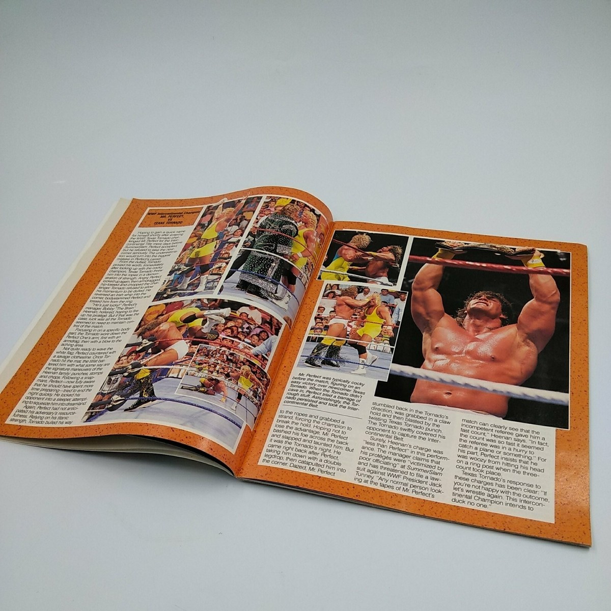 WWF World Wrestling Magazine - November 1990 Vol. 9 No. 11