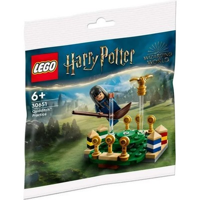 LEGO Harry Potter: Quidditch Practice (30651)