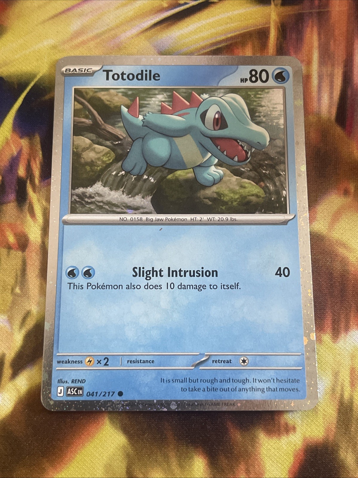 Totodile (Cosmos Holo) 041/217 Miscellaneous Cards & Products Holo