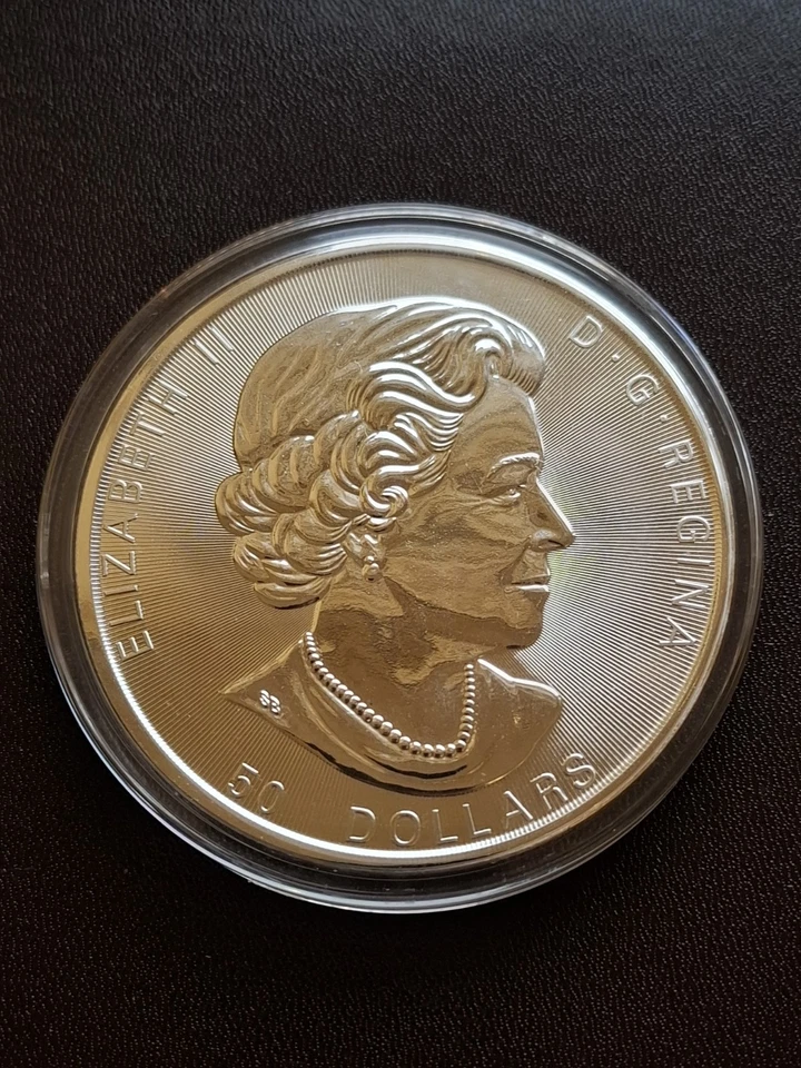 10 Oz Silbermünze Maple Leaf 2020 Silber 9999 -10 Unzen - Bild 2 von 2