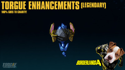 LVL 60 Borderlands 4 - TORGUE ENHANCEMENTS - U PICK -  100% CHARITY!