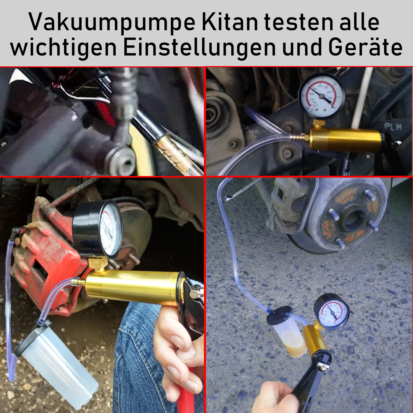 Bild 9 von 12