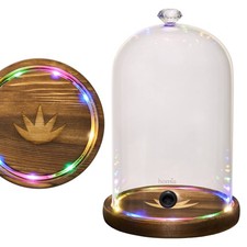 Smoking Gun Accessory LED lights Glass Dome 9" x 5.7" Lid with Wooden Base - ...