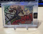 2025 Panini Absolute Countdown Calendar Jalen Milroe Base (RAW)