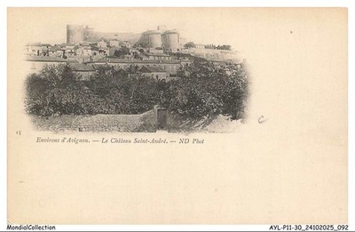AYLP11-1248-30 - Environs d'avignon - Le chateau saint-andré