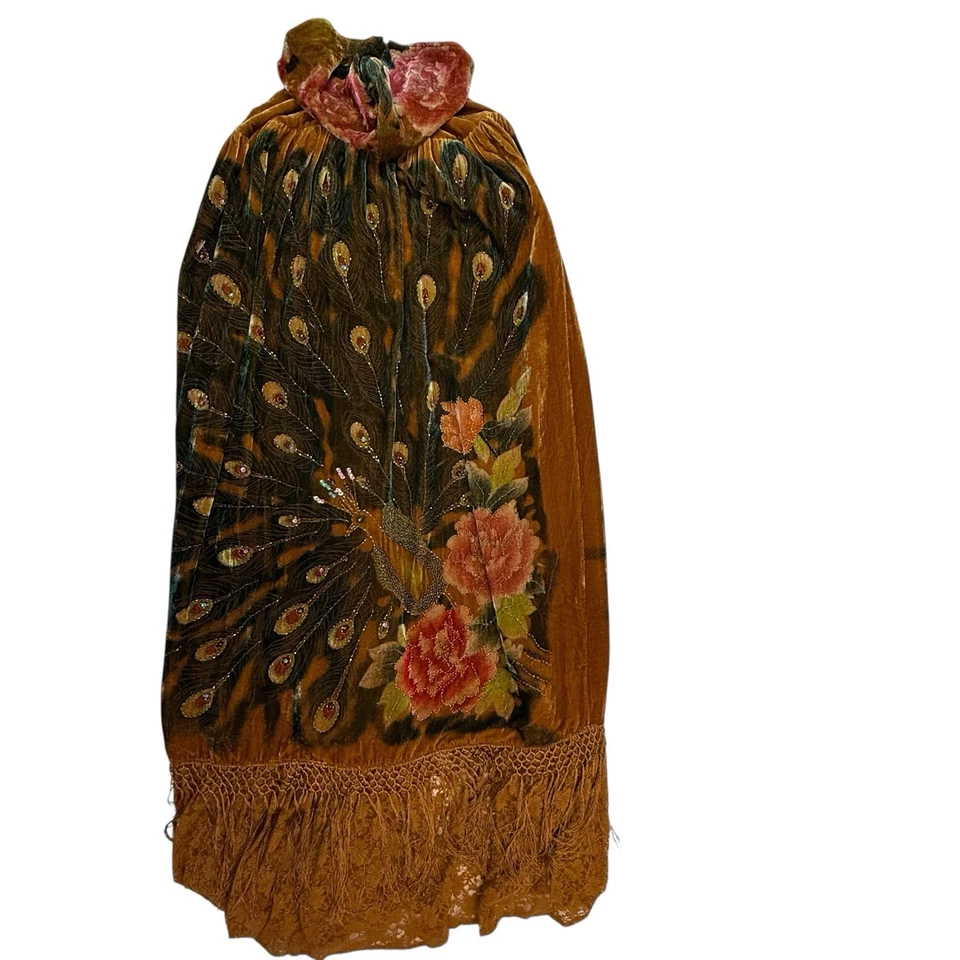 Opera Cape Reloj Pavo Real Victoriano Rep Cuentas Largas Terciopelo Encaje Forrado Con Capucha Seda Foto 2 de 4