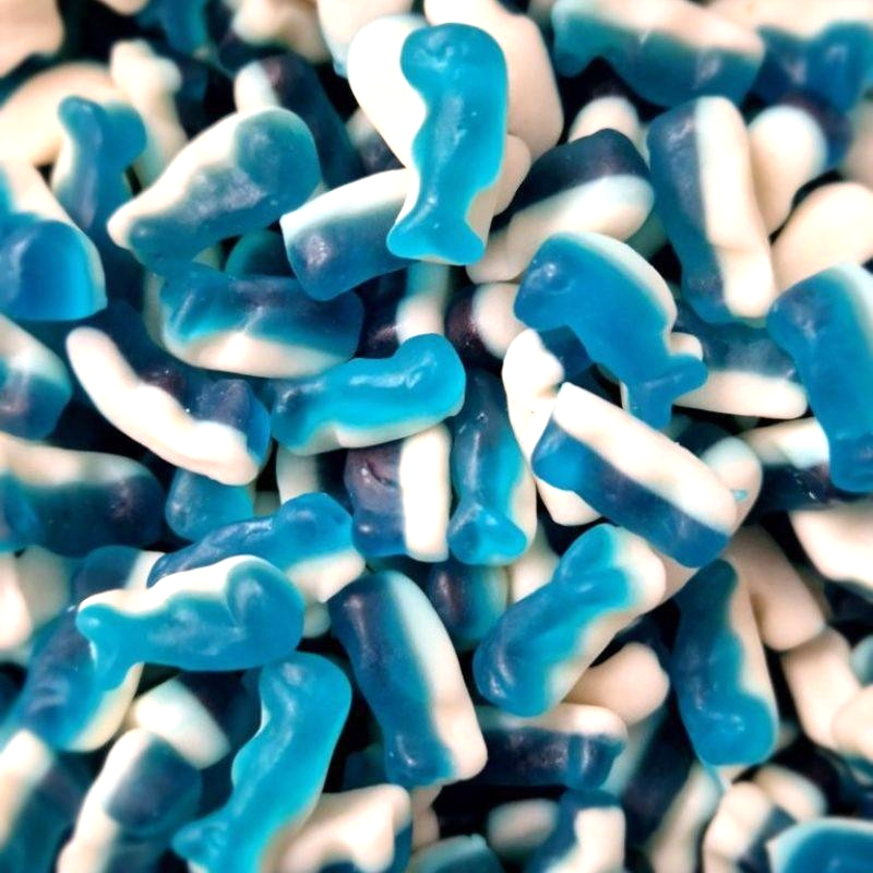 1kg Blue Jelly Mini Dolphins Aladdins Sweets Halal Jellies Bulk Buy Party Bags