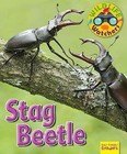 Wildlife Watchers: Stag Beetle: 2017 by Ruth Owen (Paperback, 2017)
