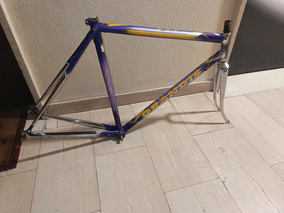 #ad Grandis Columbus Max EUR 700.00