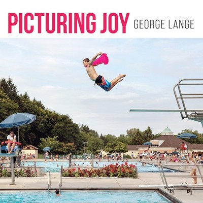 Picturing Joy: Stories of Connection by George Lange