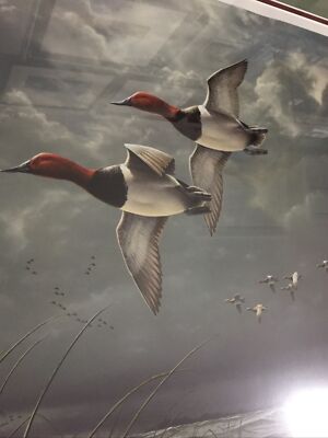 James Hautman,”Fowl Weather - Canvasbacks” Excellent 1503/,5000