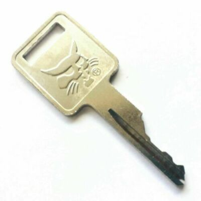 100Pcs KEY For Vermeer chipper - grinders ignition Keys D250