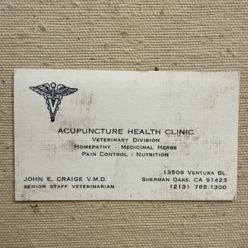 Vintage Business Card Acupuncture Health Veterinary Sherman Oaks California