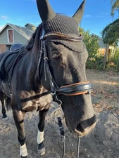 halter ego tuscany bridle excellent condition horse/full size reins not included
