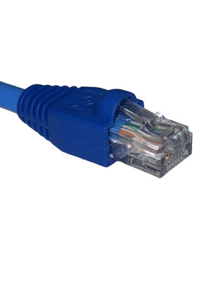 2 ft Cat6 UTP 10GB 23AWG Solid Copper Cable CMR Jacket Indoor | Blue