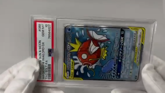 PSA 10】 Pokemon Japanese Magikarp & Wailord GX SR TAG TEAM PSA 10】 Pokemon Japanese Magikarp & Wailord GX SR TAG TEAM