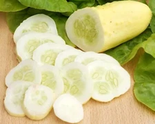 100+ WHITE WONDER CUCUMBER SEEDS ---- HEIRLOOM - ORGANIC - NON GMO -------- RARE