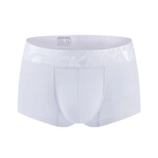 New Sexy Men's Underwear High Quality Transparent Ice Silk Breathable Boxers
