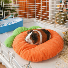 Breathable Carrot Shaped Rabbit Mat Cartoon Rabbit Nest  Pet Small Animal