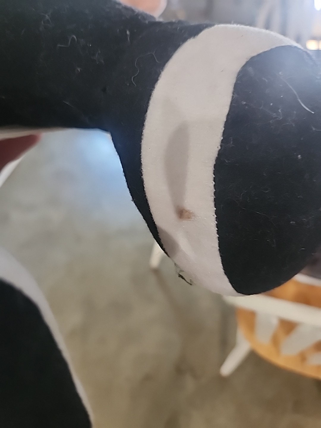 Vintage Rare 1992 Showbiz Pizza Pasqually The Chef 14” Plush Chuck E. Cheese