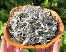 1 lb Loose White Sage Smudge LEAVES ONLY (Bulk Wholesale Lot)
