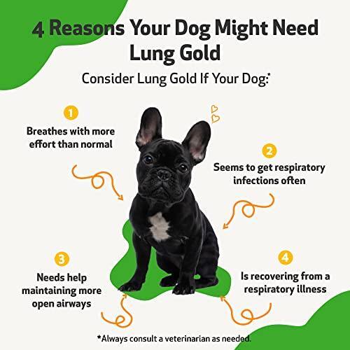 Pet Wellbeing Lung Gold for Dogs VetFormulated Lung & Respiratory
