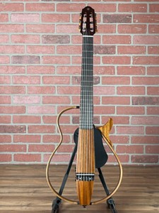Silent Nylon Guitar | eBay