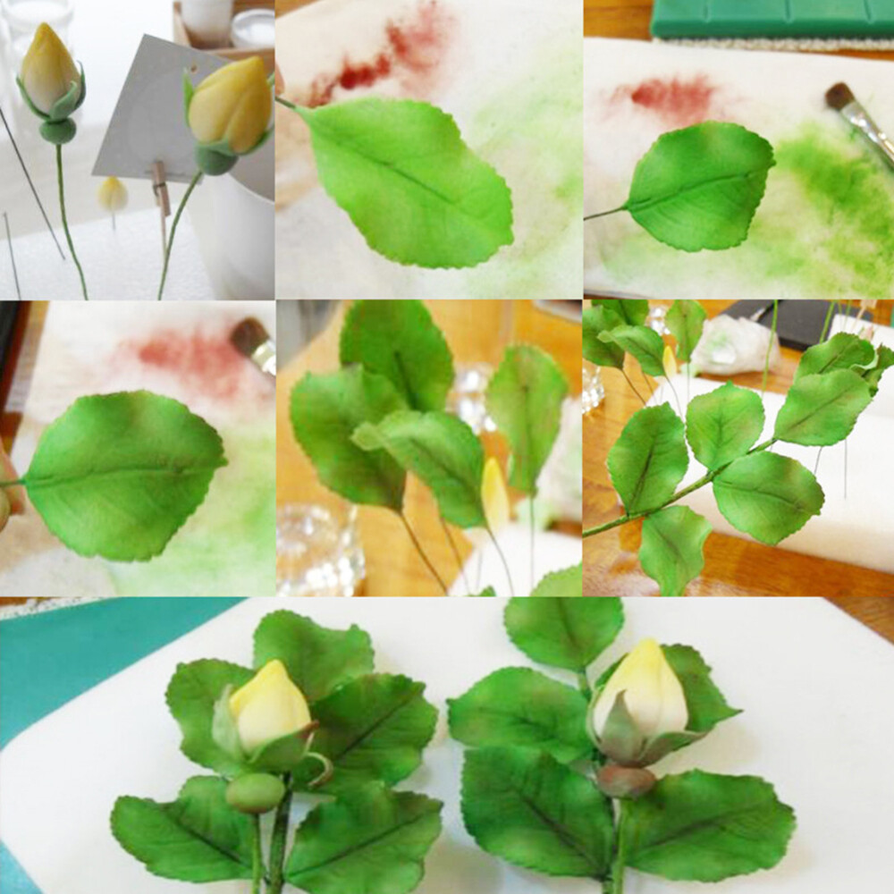 Bild 5 von 11